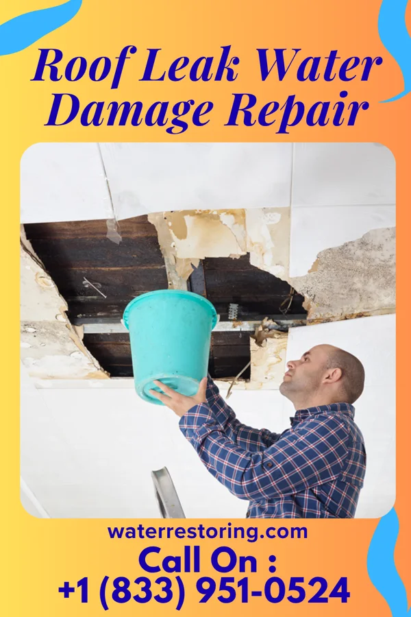 Roof Leak Water Damage Repair in Francis, OK